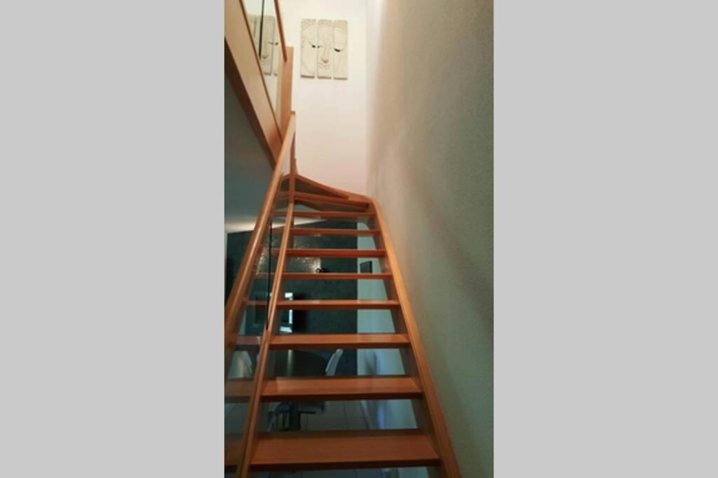 Superbe Duplex Au Nouveau Bassin Avec Vue Superbe Mulhouse Exteriör bild